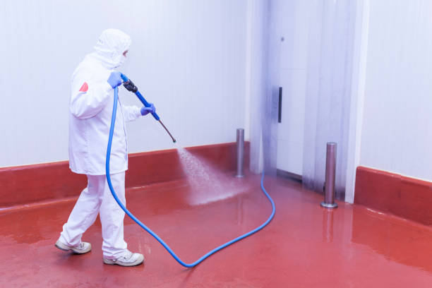 Best Patio and Deck Pressure Washing  in Ozark, MO