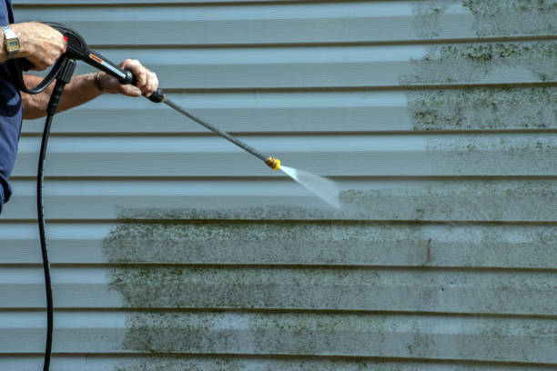 Best Sidewalk and Walkway Cleaning  in Ozark, MO